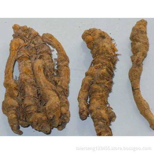 Effect on smooth muscle coptis
